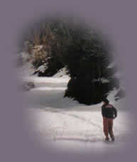 promenade l'hiver en forêt de Saint Hugon