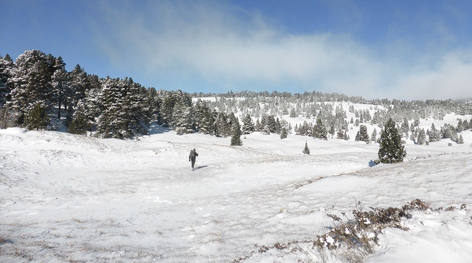 Le Parc Naturel Régional du Vercors.